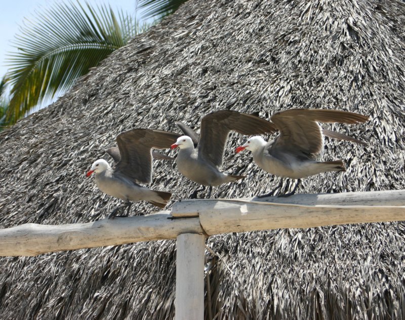 photo14.jpg