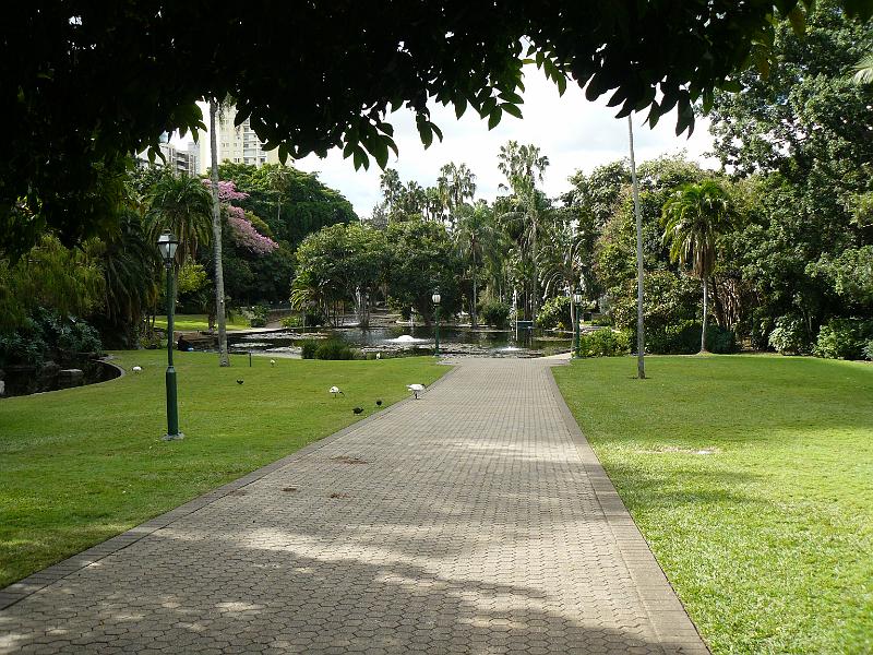 P1100693.JPG - Brisbane City Botanic Gardens