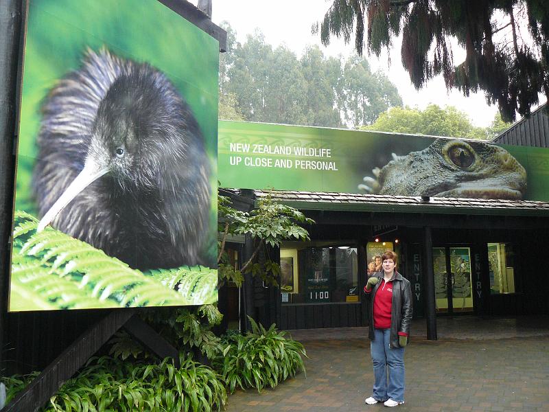 P1120528.JPG - Rainbow Springs Kiwi Hatchery