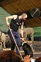IMG_7183