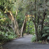 MG 4779  The Driveway