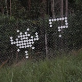 MG 4792  Fun with cups