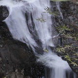 MG 4968  The Currumbin Valley.