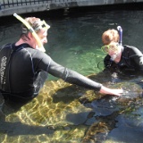 DSCF3384  Playing with the turtles