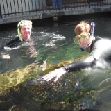 DSCF3386  ... swam with the turtles and sharks. : Robert Philip Bradshaw
