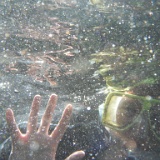 DSCF3393  Snorkelling in the turtle tank