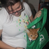 IMG 7756  Anne with &#34;Kitty in a Bag&#34;