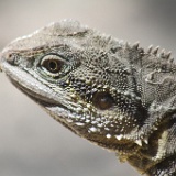IMG 7840