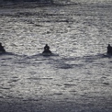 MG 8055  jetskis