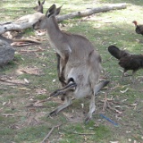 IMG 3299