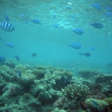DSCF3731