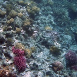 DSCF3744