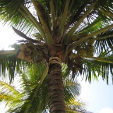IMG 3572