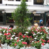 IMG 3993