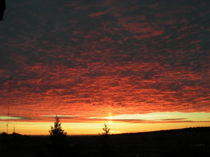photo145.jpg