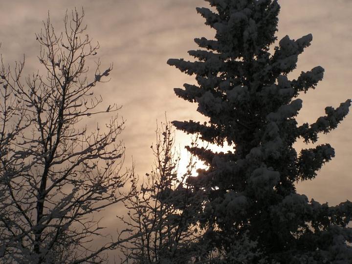 photo69.jpg