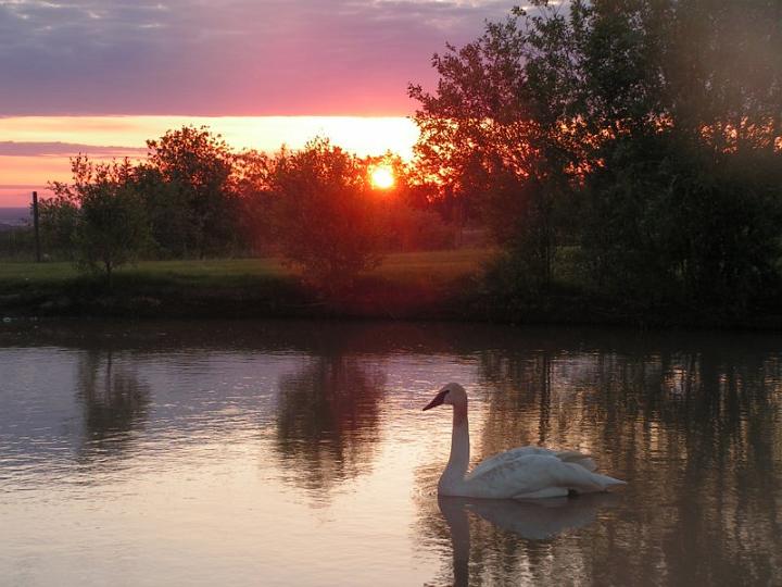 photo87.jpg