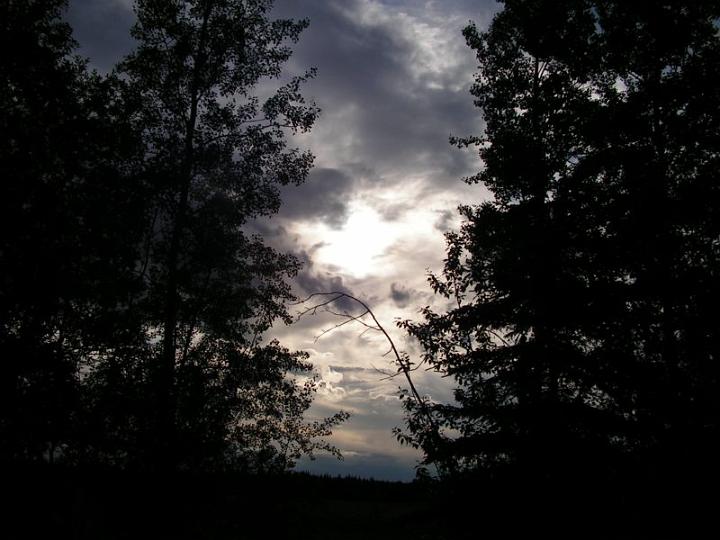 photo93.jpg