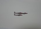 IMG 0815  Agai, the RCAF Snowbirds. (Abbotsford, BC, Canada)