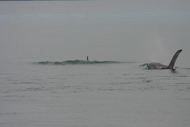IMG_6733.JPG